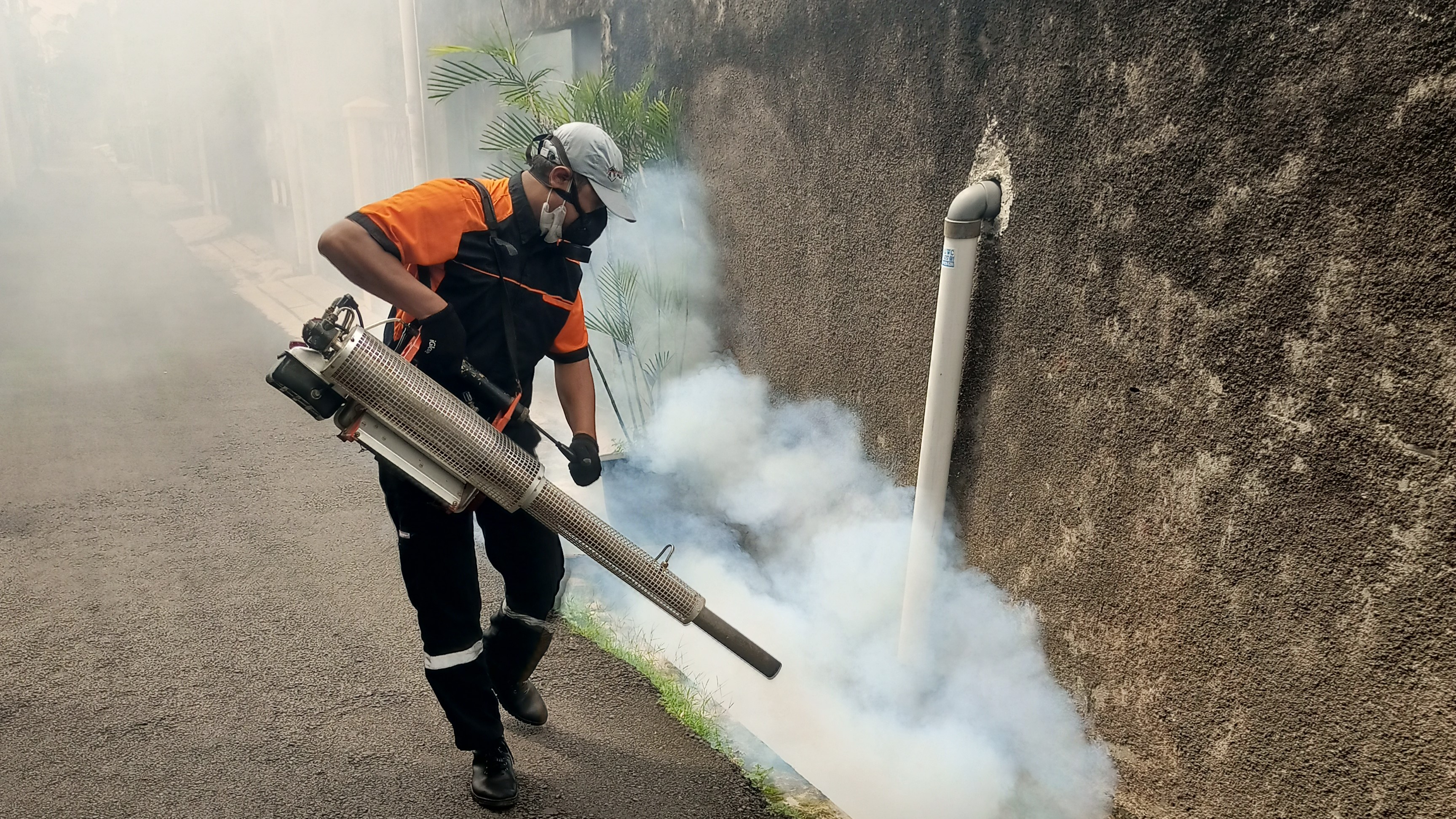 Fogging Nyamuk